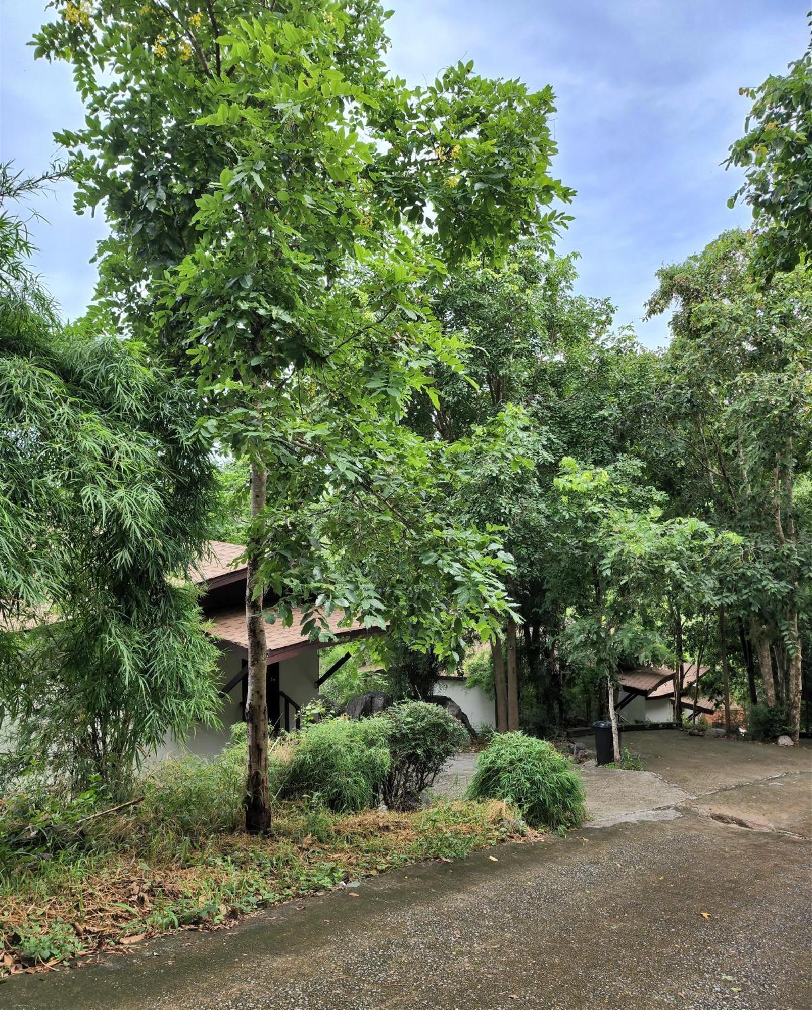 Hua Hin Home Hill Exterior photo